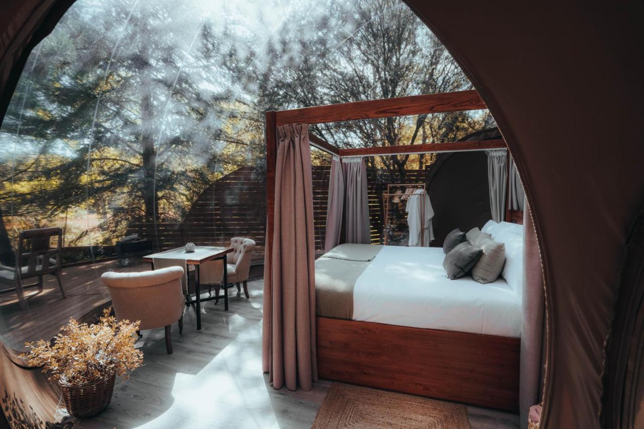 Noctis Hotel Сория Екстериор снимка